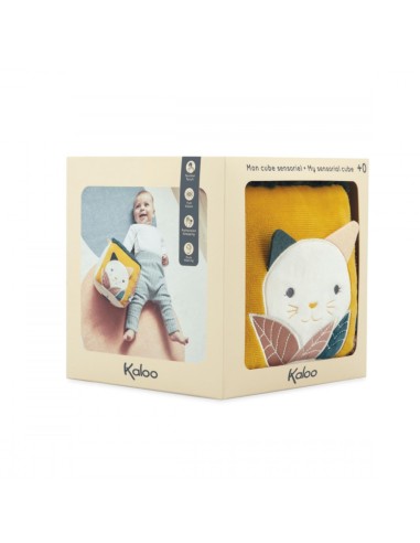 Cubo sensorial