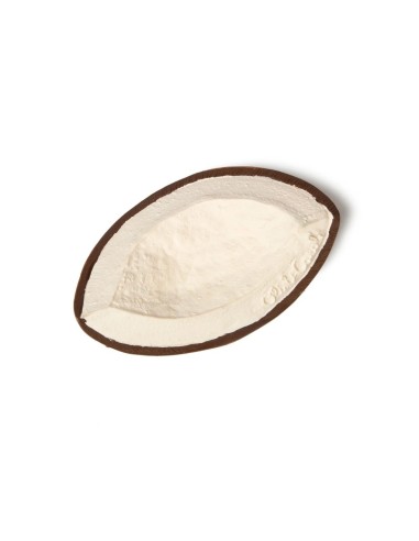 Mordedor Coco the coconut